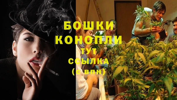 не бодяженный Каменка