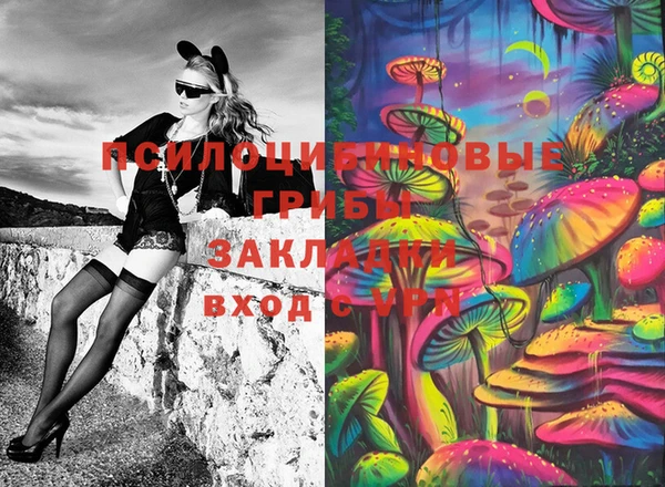 не бодяженный Каменка