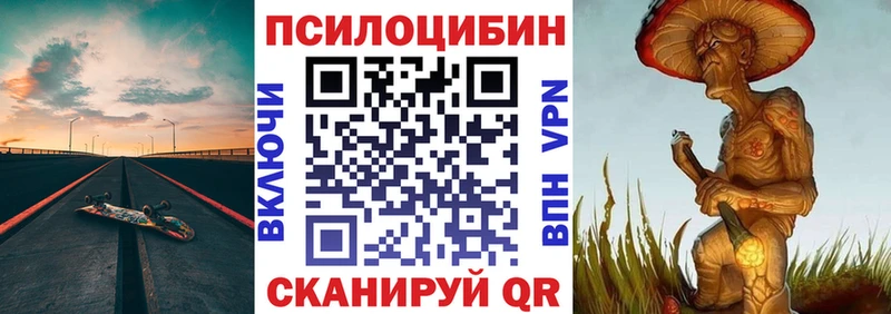 Галлюциногенные грибы мицелий  Купить  Балтийск 