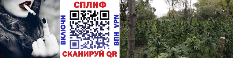 Купить где  Балтийск  Шишки марихуана конопля 